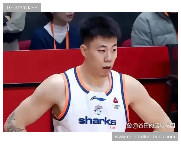 张镇麟闪耀上海胜北京仍有变数