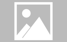 张伟丽相信综合格斗入奥运cctv5体育在线观看wta举重运动知识